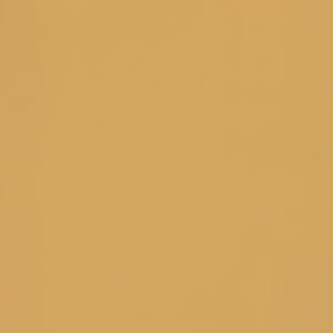 Desert Ochre